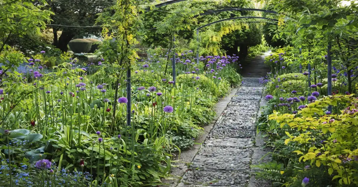Portland Rose Test Garden summer blooms romantic date
