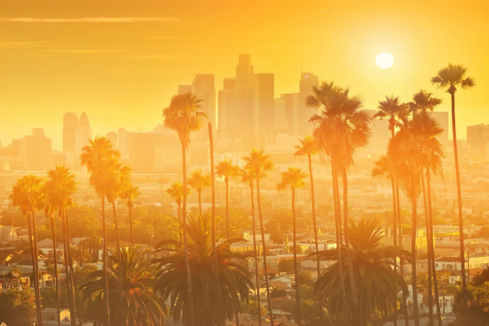 Helicopter tour Los Angeles aerial views couples date
