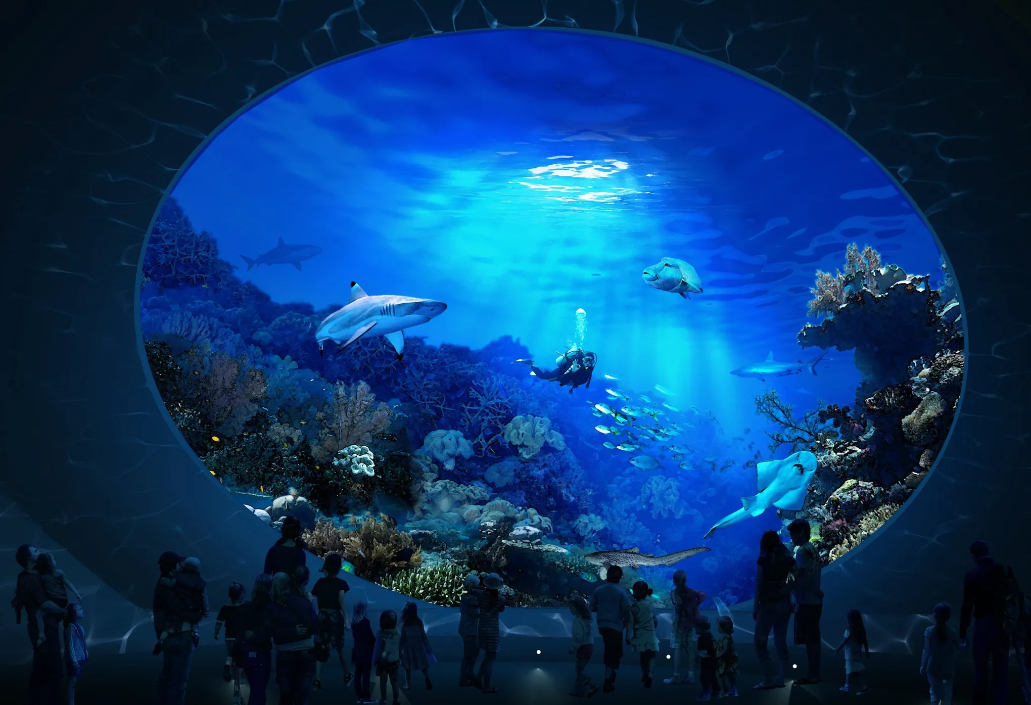 Seattle Aquarium underwater viewing window with marine life