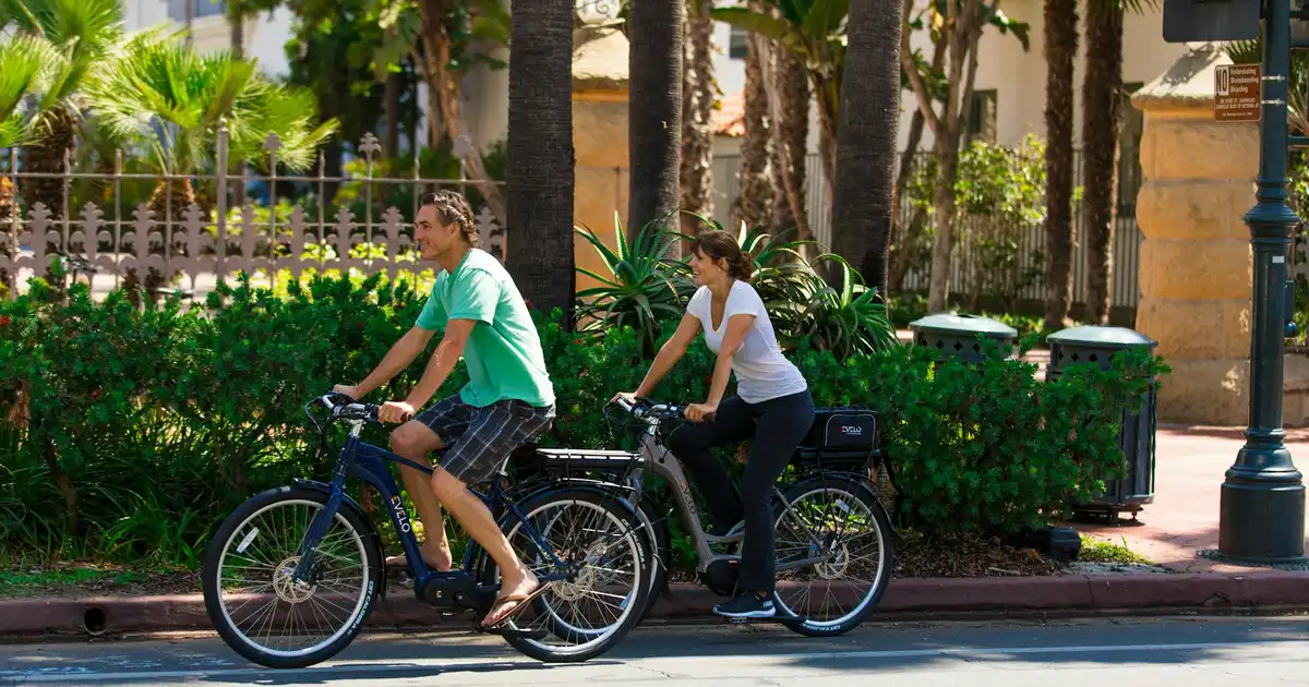 Santa Monica & Venice Beach Bike Tour