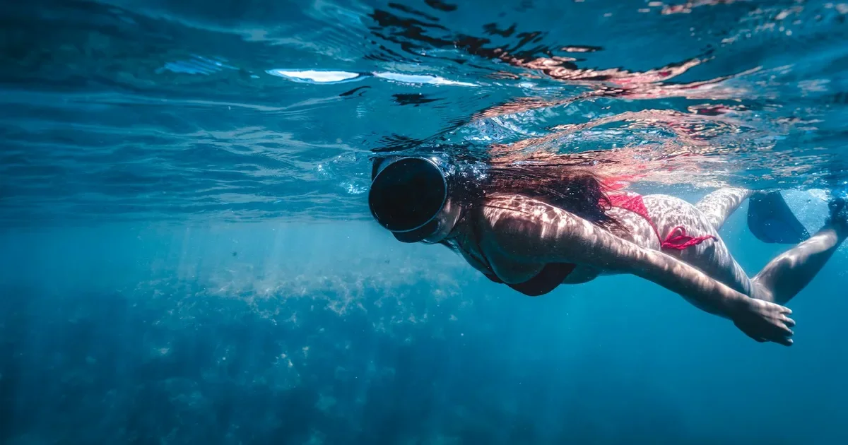 Snorkeling Adventure at La Jolla Cove