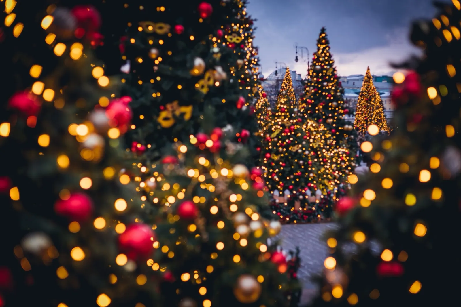 Union Square Holiday Market